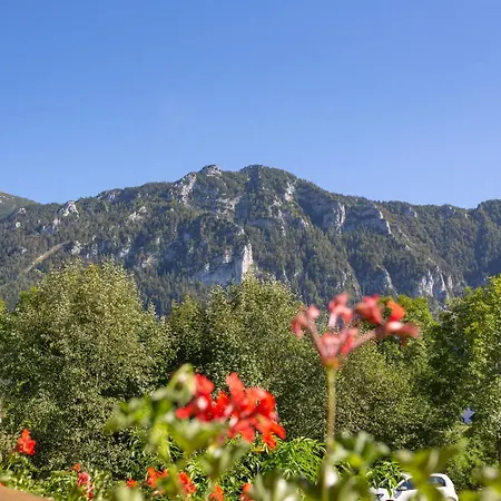Gaestehaus Madsack - Chiemgau Karte-2